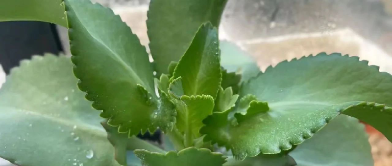 Featured image of post 下跌原因找到了