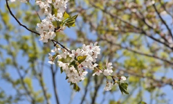 Featured image of post 涨疯了