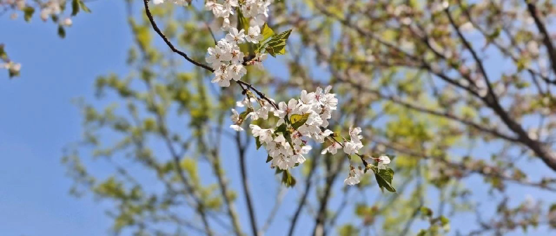 Featured image of post 涨疯了