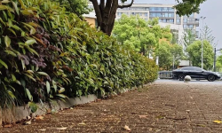 Featured image of post 继续嗨