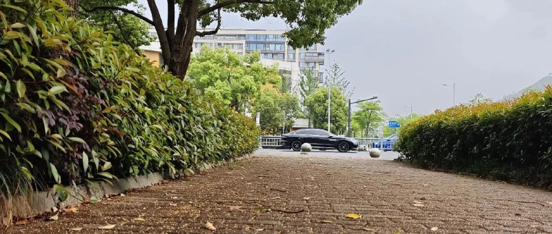 Featured image of post 继续嗨