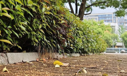 Featured image of post 又是陪老特玩耍的一天