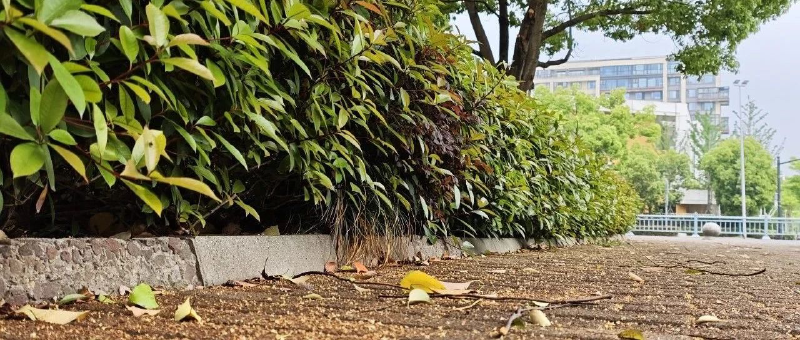 Featured image of post 又是陪老特玩耍的一天