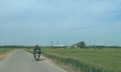 Featured image of post 卷王杀入人工智能