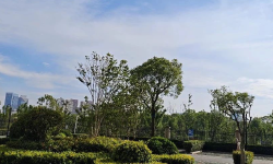 Featured image of post 520了，做出一些改变