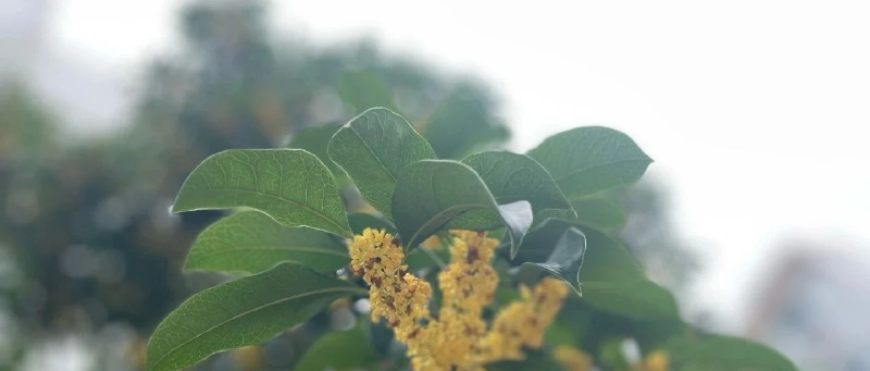 Featured image of post 一点点