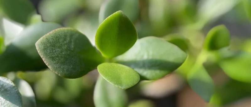 Featured image of post 坐稳扶好