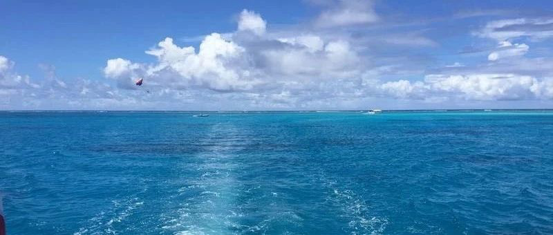 Featured image of post 修修补补