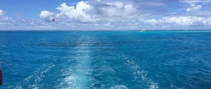 Featured image of post 告别情绪，回归理性