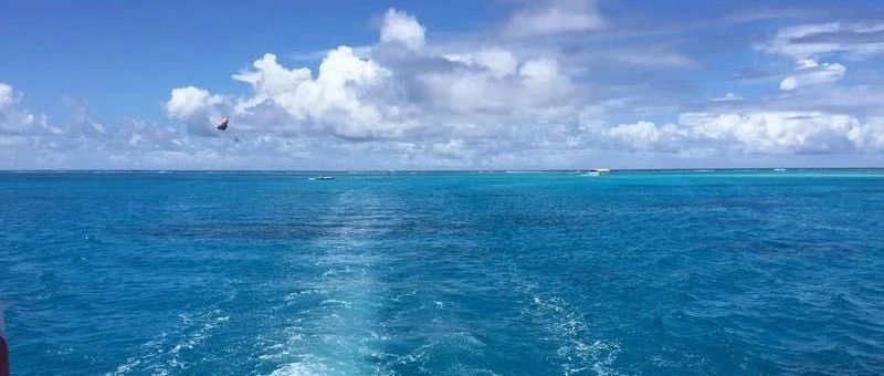 Featured image of post 周末利好兑现