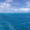 三连阳