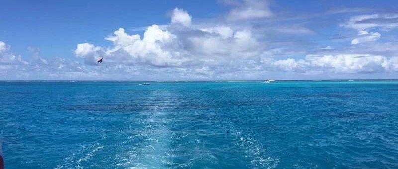 Featured image of post 情绪高涨